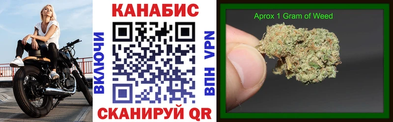 блэк спрут как зайти  Стародуб  Канабис тримм 